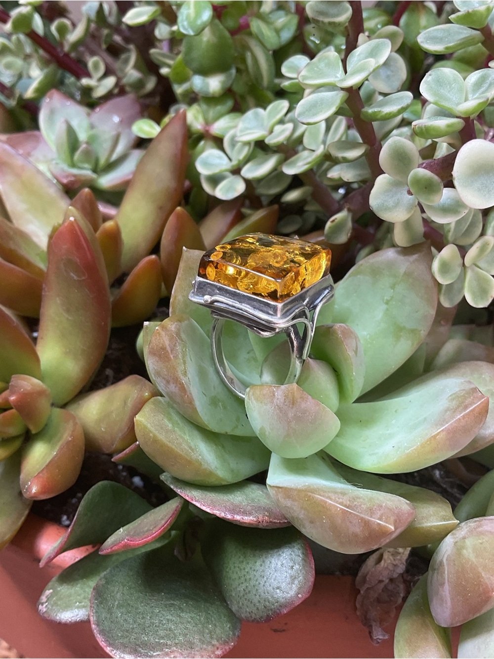 LARGE AMBER RING - Picture 4 of 10